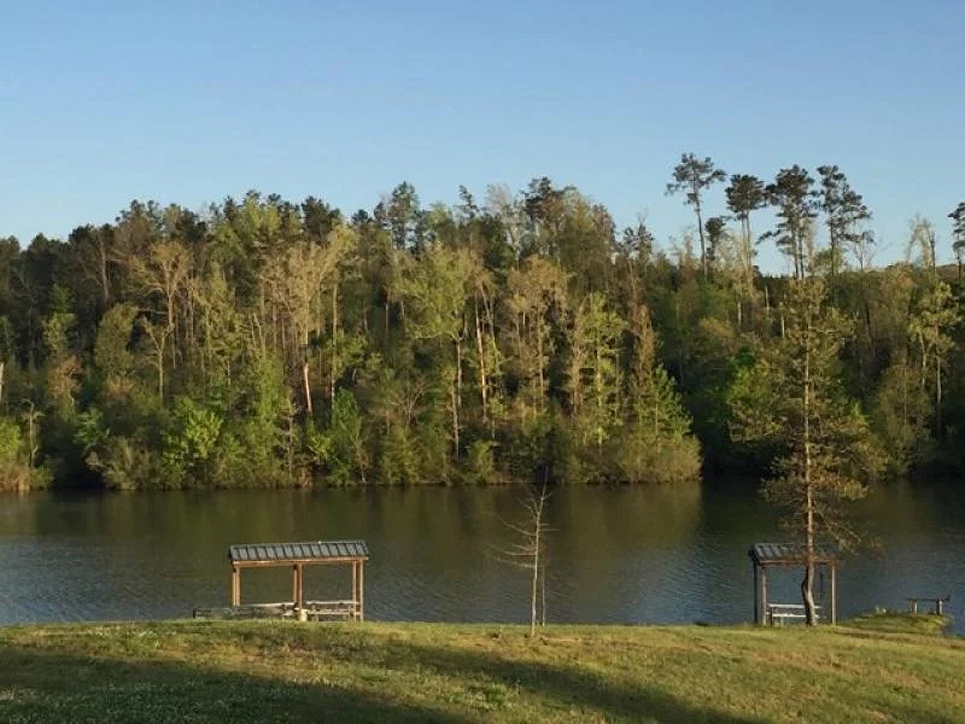 ADCNR Seeks New Lake Manager for Bibb County Public Fishing Lake