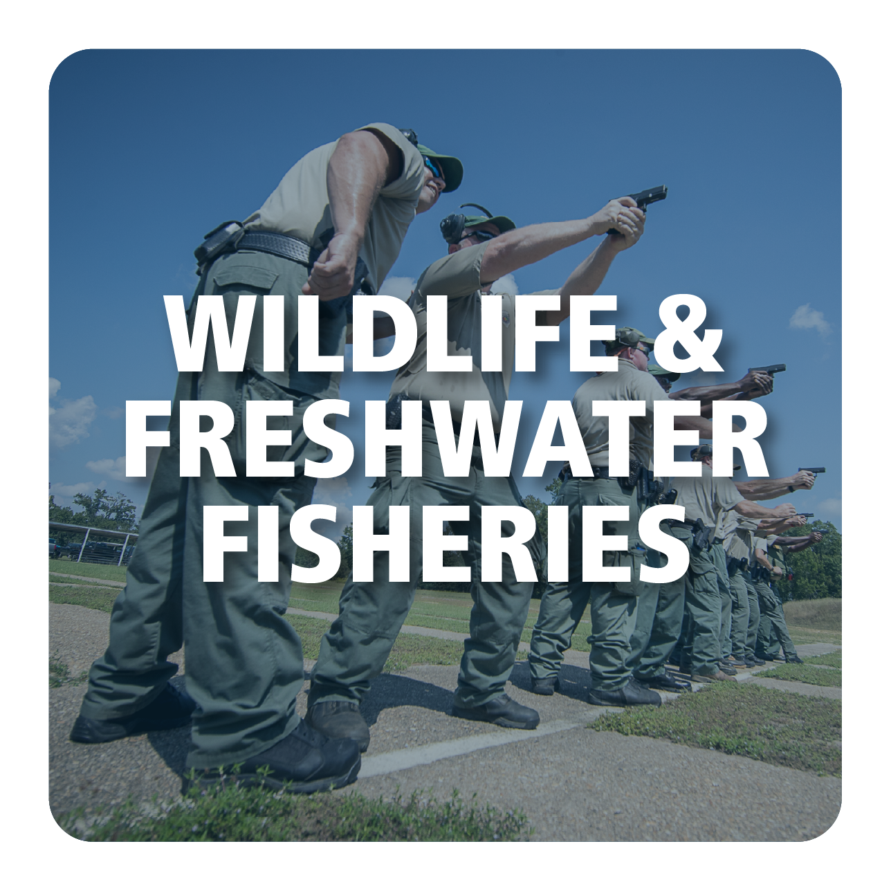 Wildlife and Freshwater Fisheries Careers Button and Link