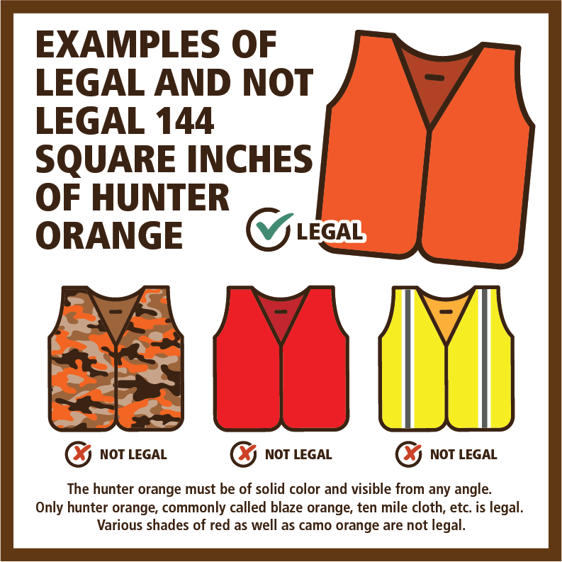 Hunter Orange