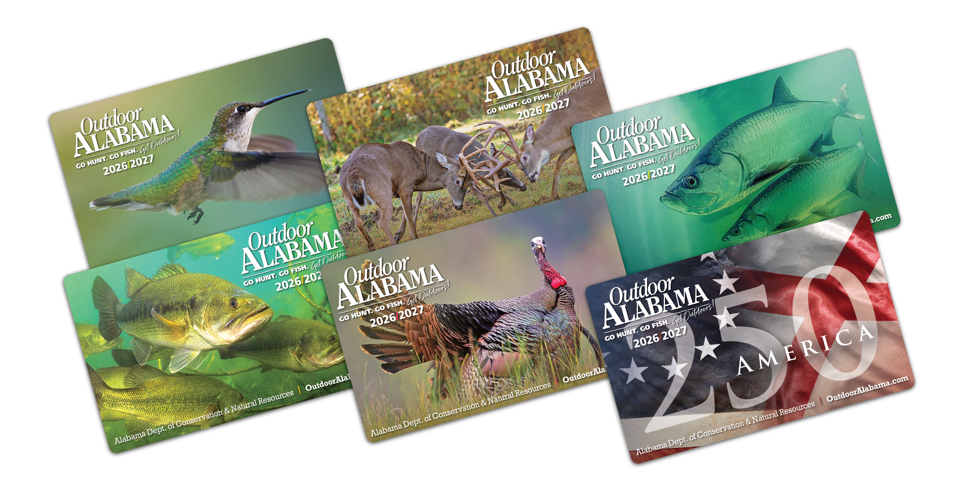 2026-2027 License Hard Card Designs