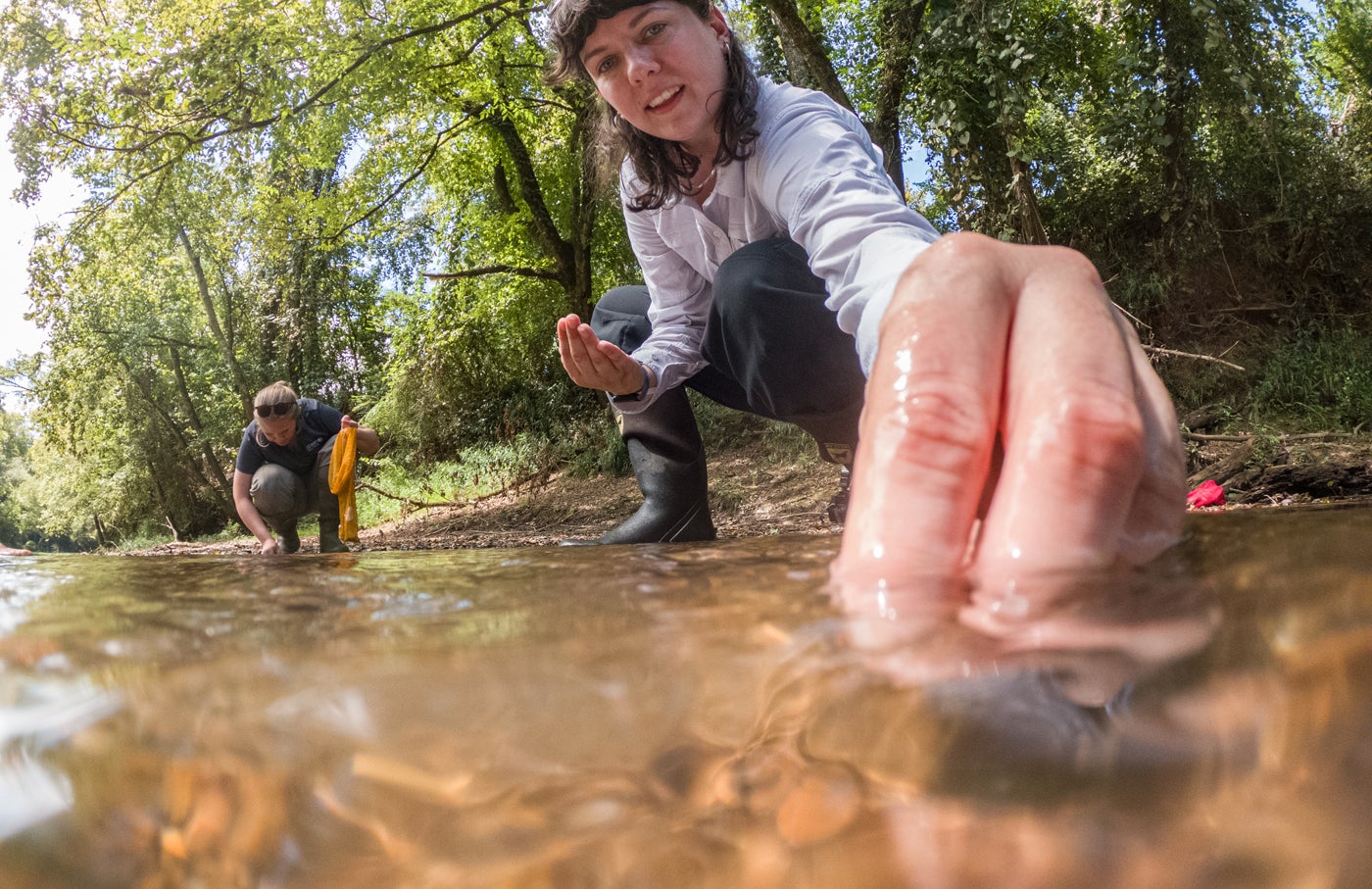 Representatives from the The Nature Conservancy and the Alabama Rivers Alliance planting rare native mussels in the Paint Rock River.
