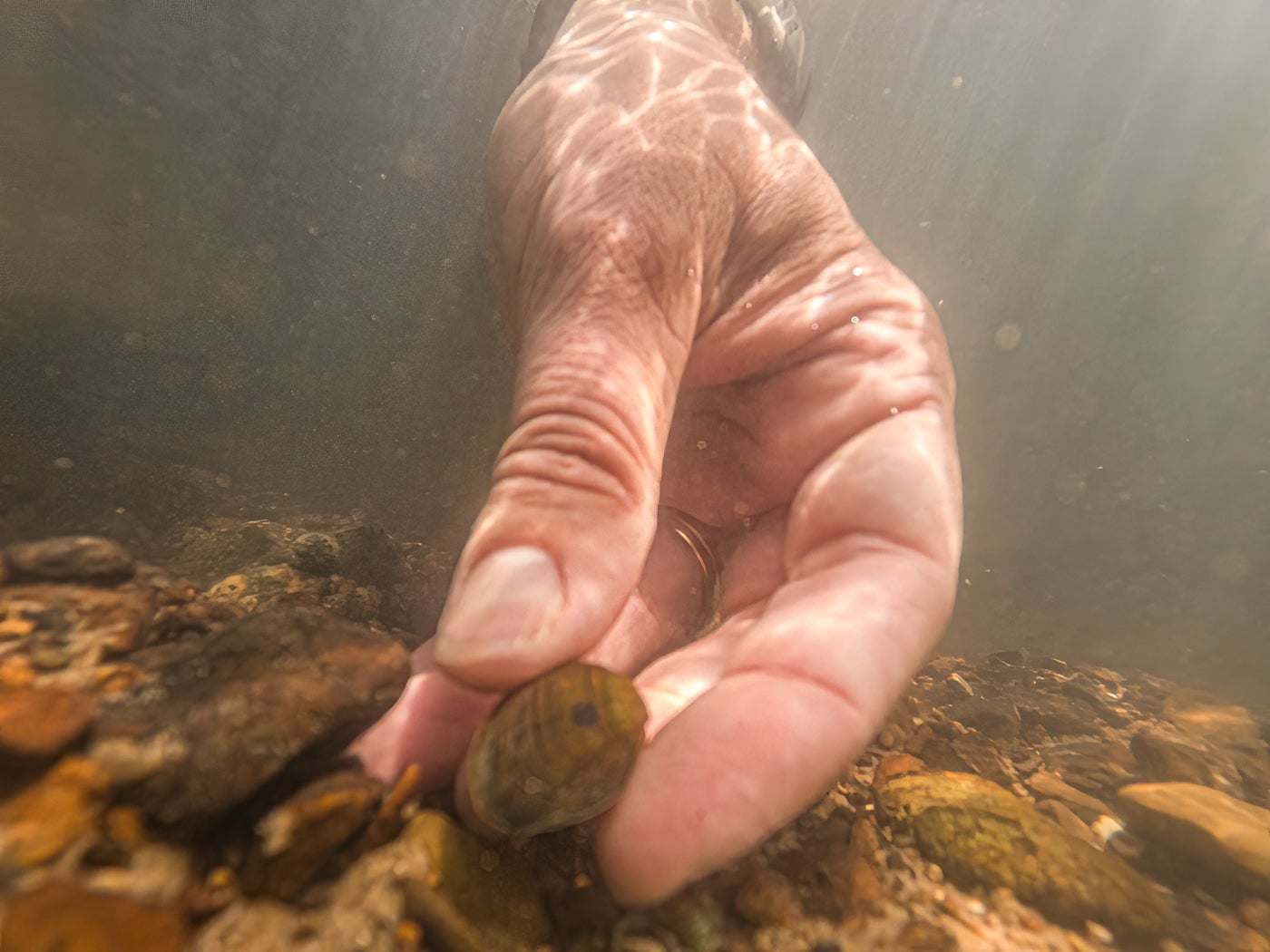 It Takes a Village to Clean a River