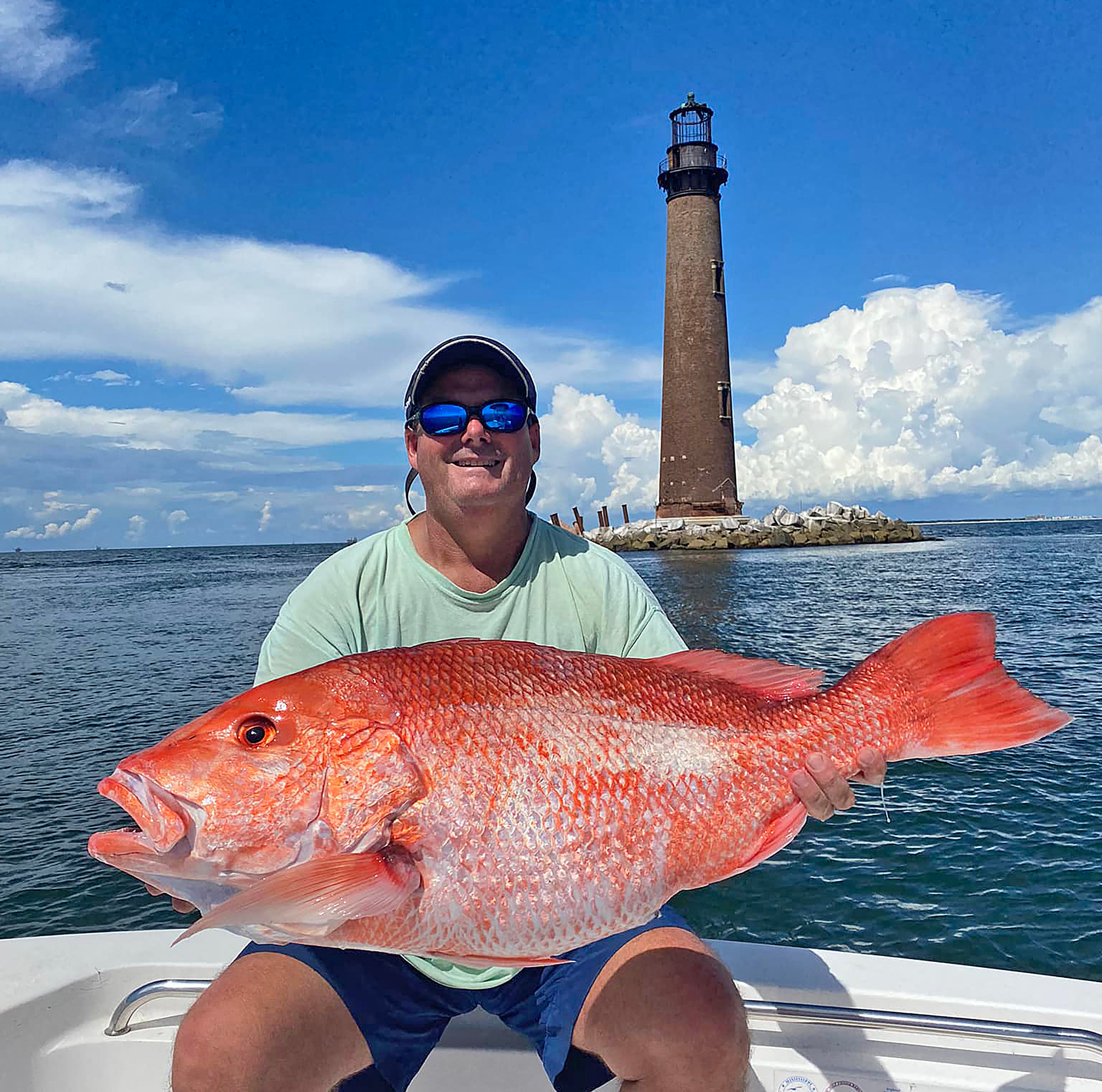 snapper