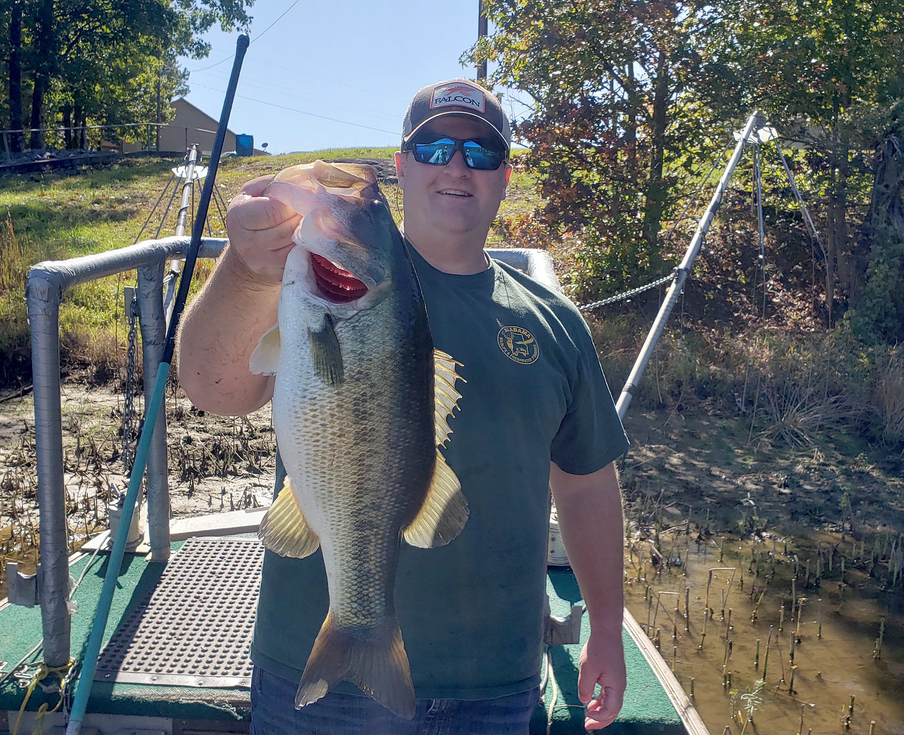 bass