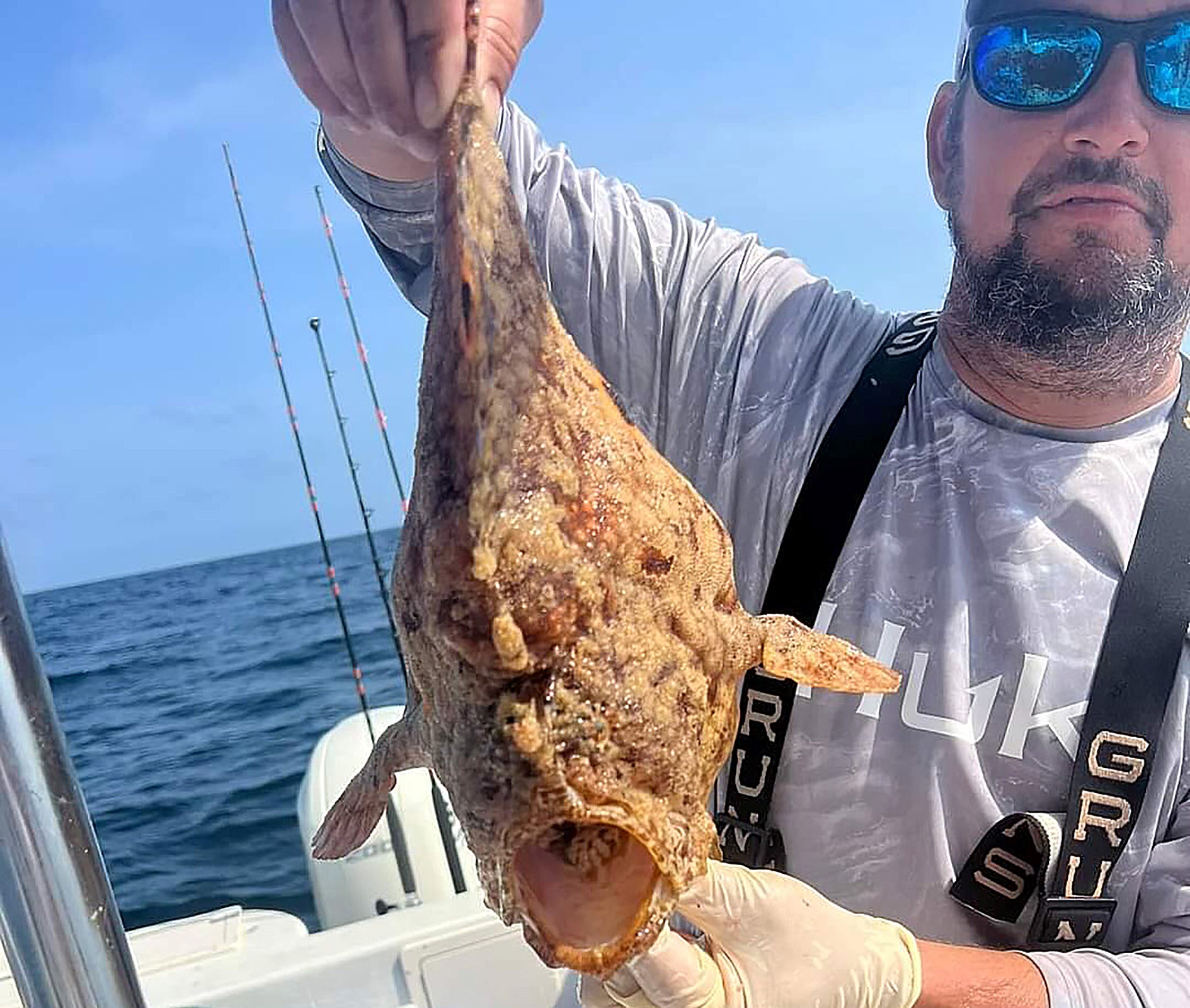 Gulf Reef Fish Trifecta Available in August