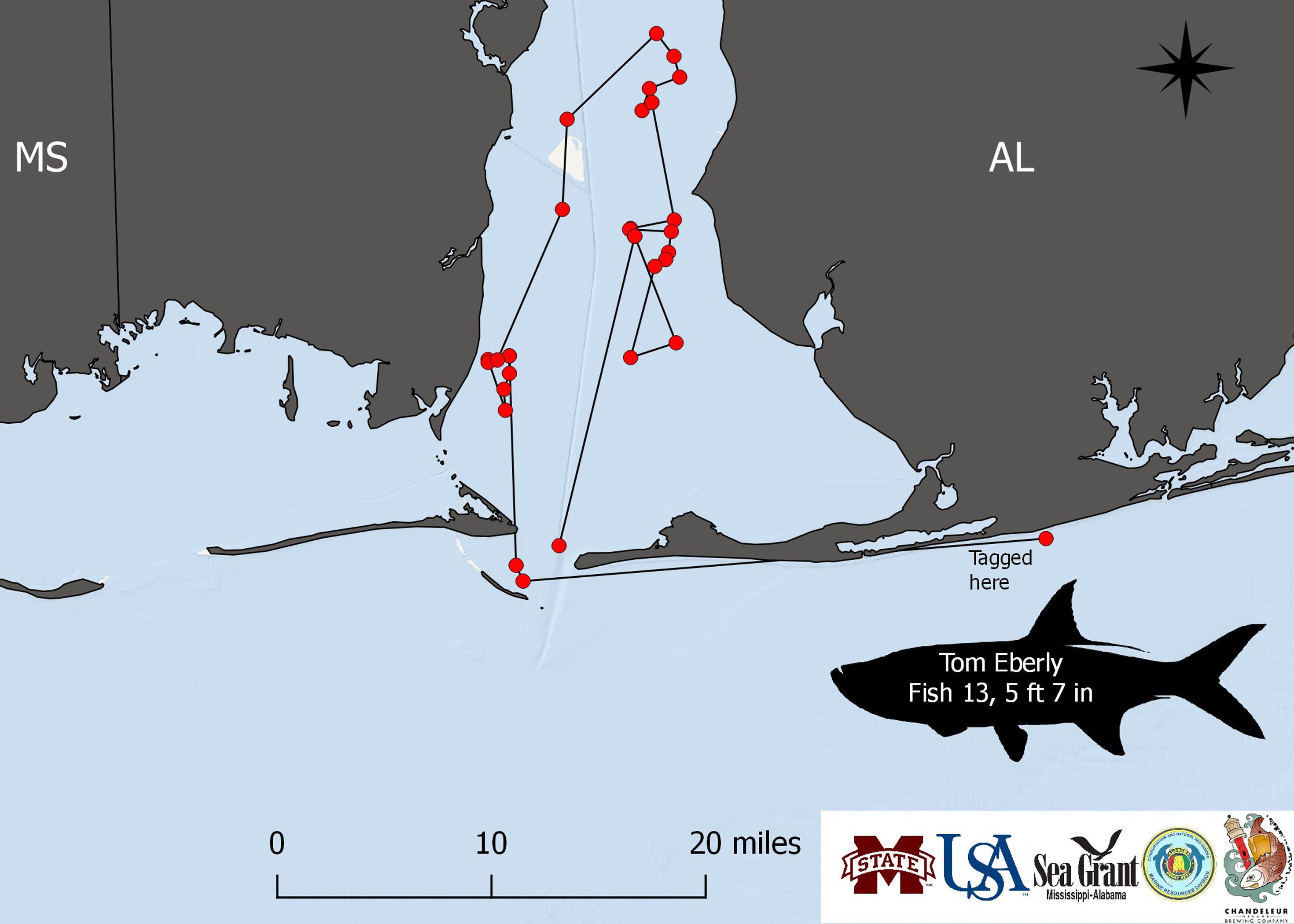 Tagging Program Tracks Redfish, Speckled Trout | Outdoor Alabama