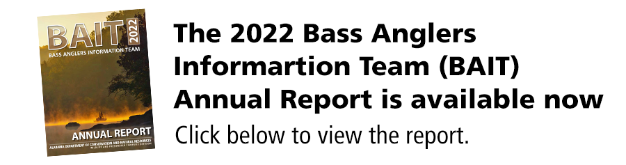 2022 BAIT Report Download