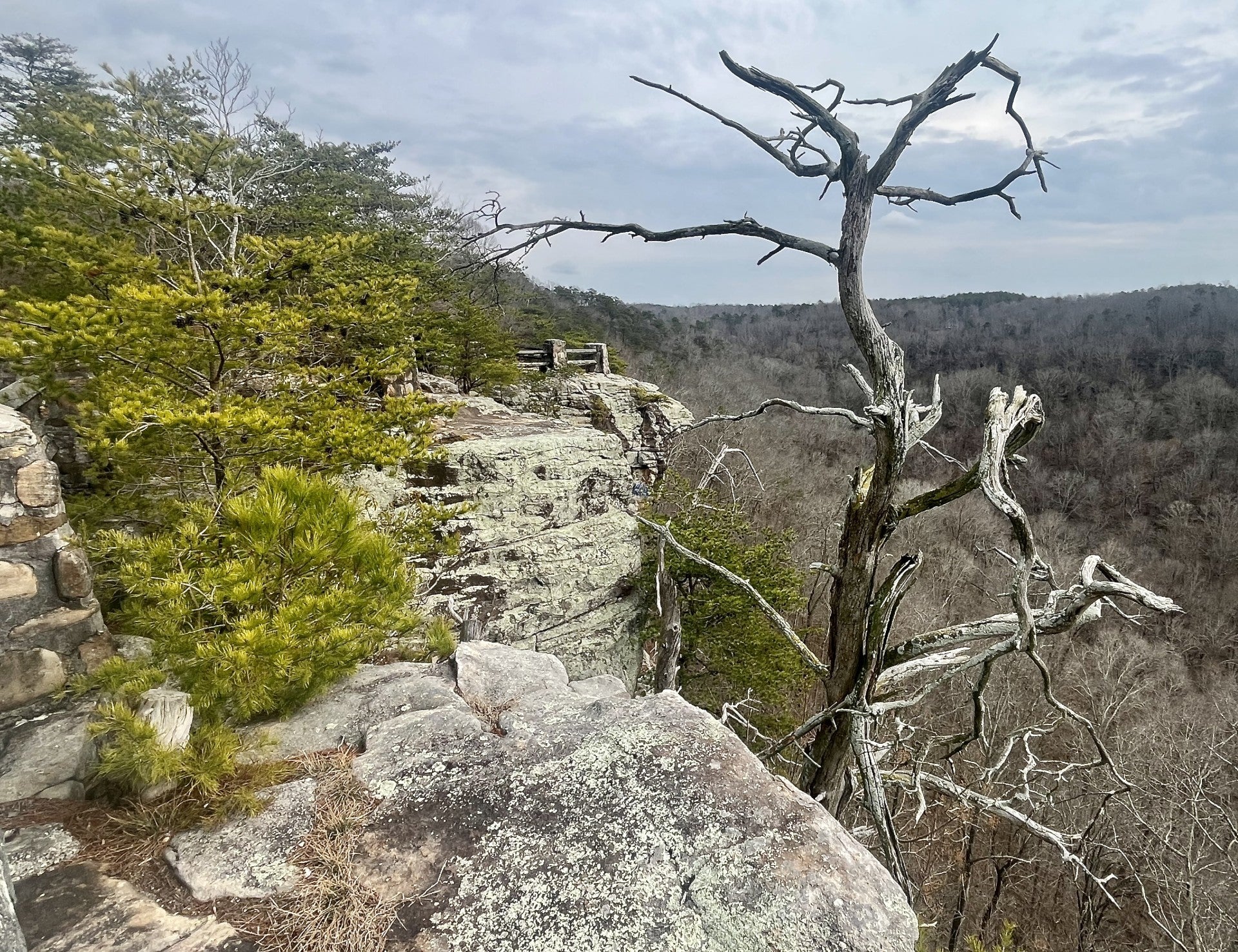 Buck’s Pocket State Park Welcomes ‘The Bro’s’ for Super Bowl Week